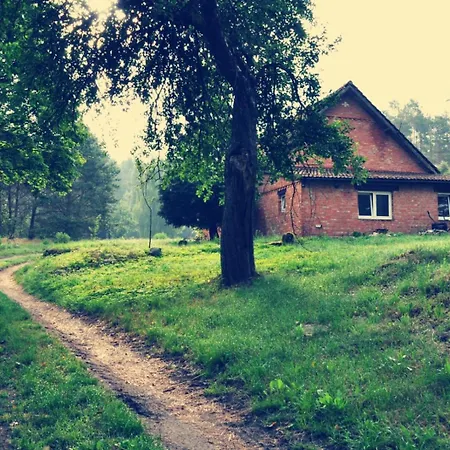 Кемпинг W Lesie