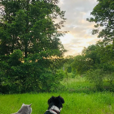 Кемпинг W Lesie *