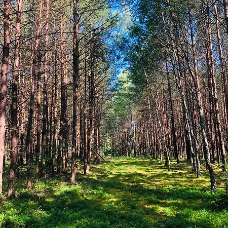 Кемпинг W Lesie Silnowo