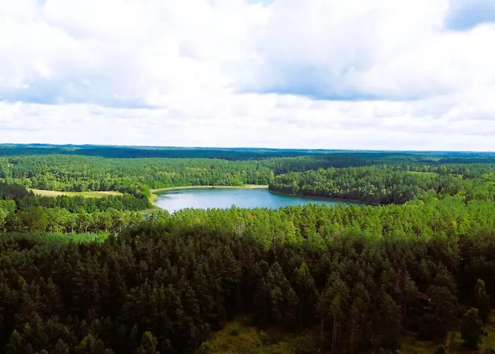 W Lesie Camping Silnowo